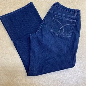 Calvin Klein Jeans Size 31/12P